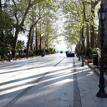 Puerta Alameda Mirador Centro Historico 公寓 *